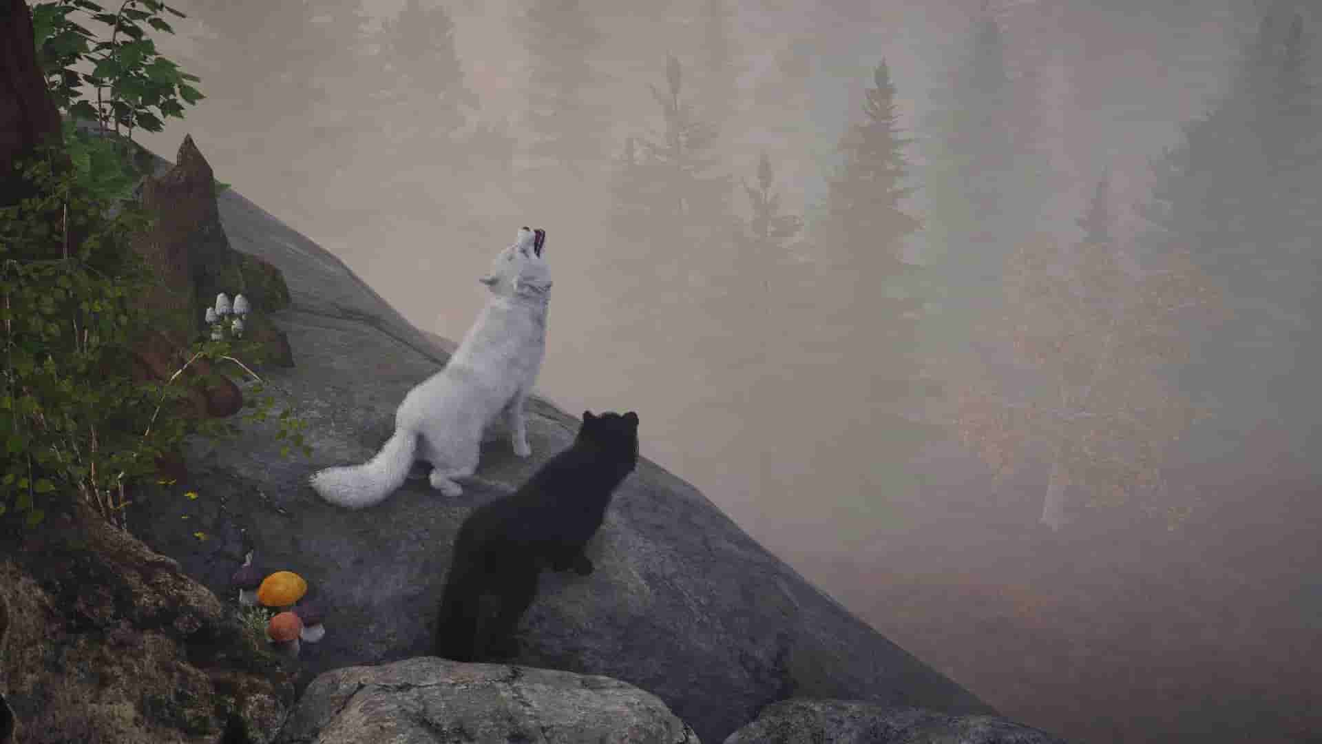 Spy Network screenshot thumbnail screenshot 7