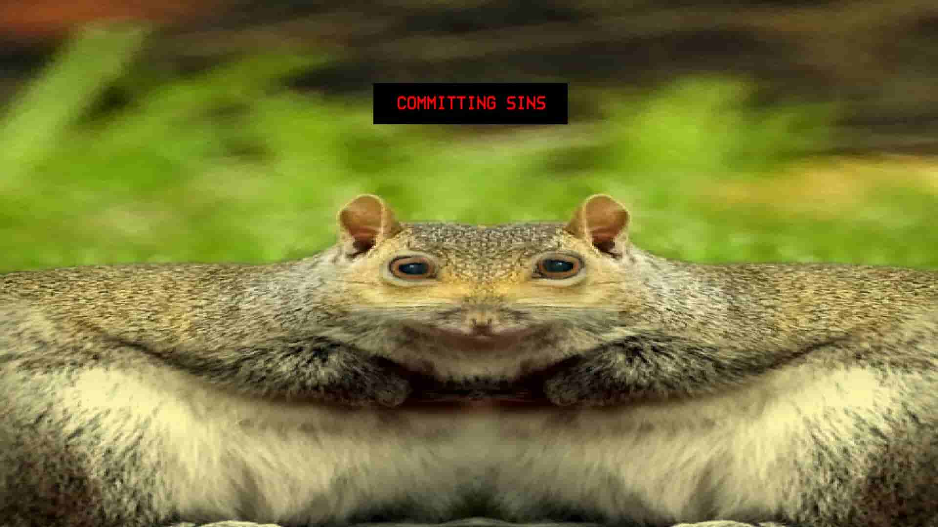 Squirrel Stapler screenshot thumbnail screenshot 6