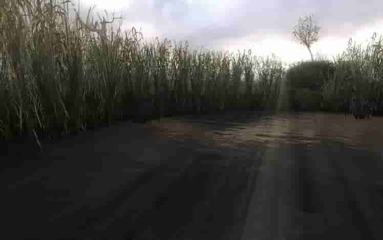 S.T.A.L.K.E.R.: Clear Sky screenshot thumbnail screenshot 6