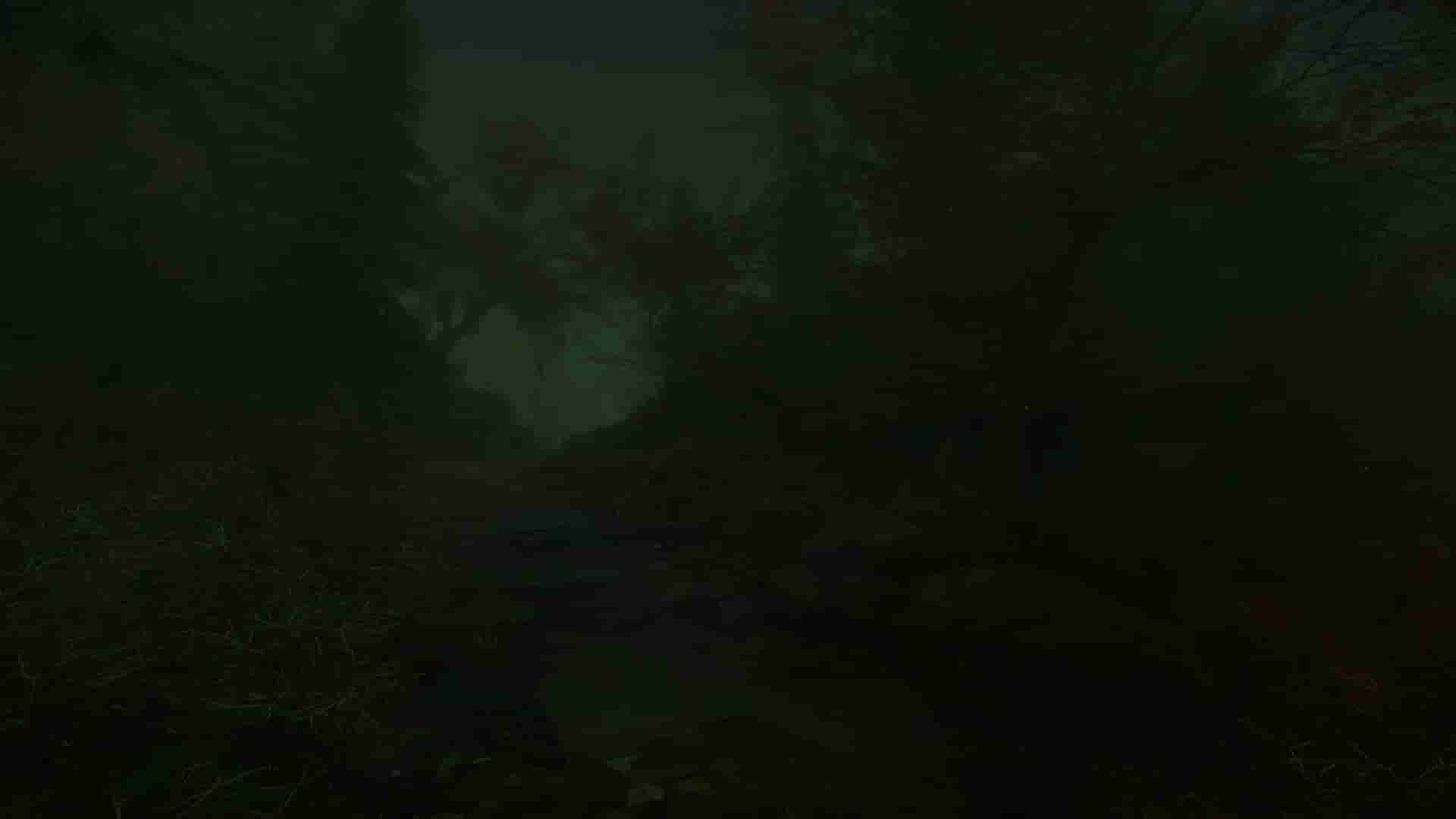 The Cursed Forest screenshot thumbnail screenshot 16