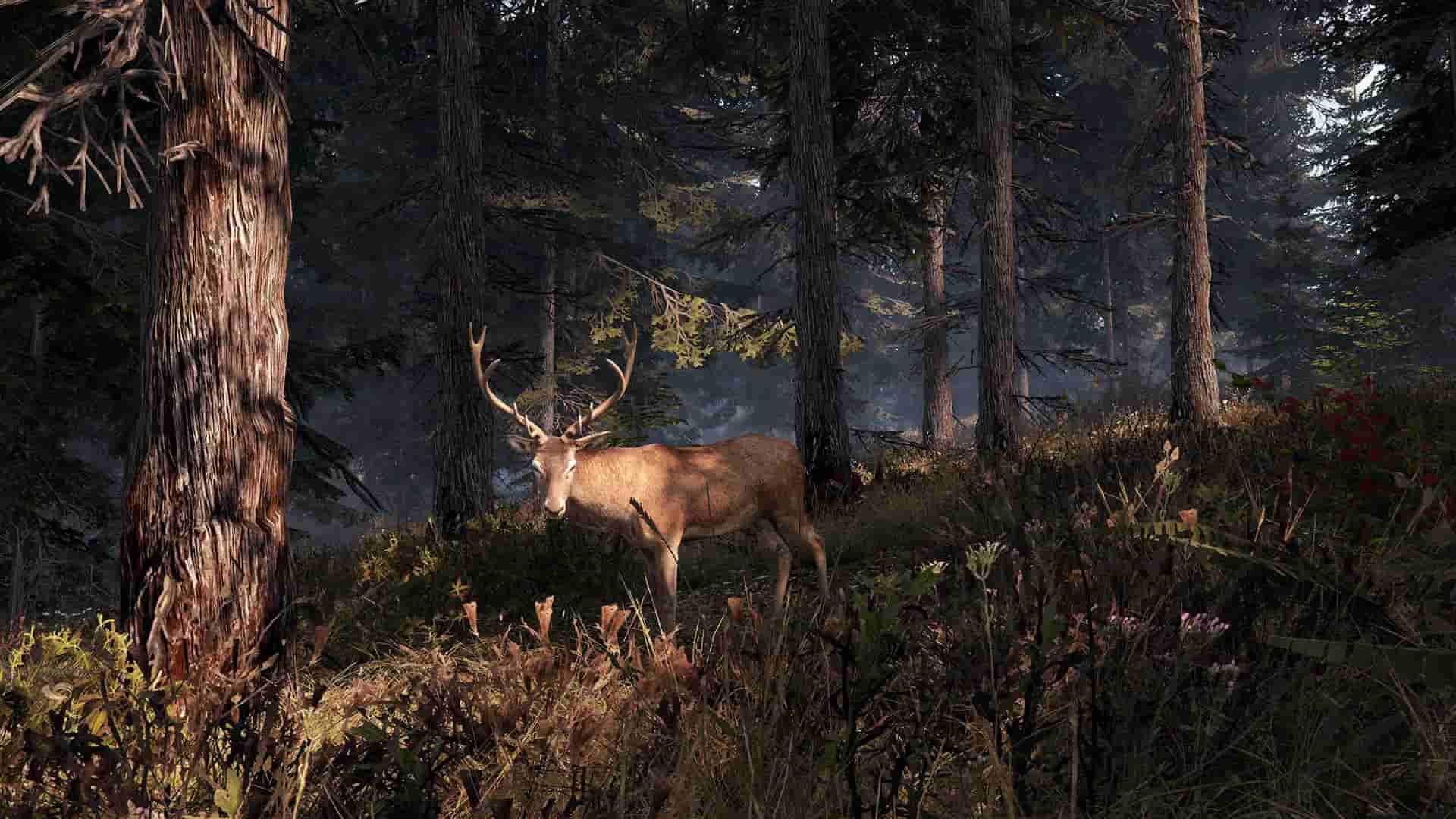 This Land Is My Land screenshot thumbnail screenshot 7