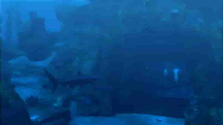 Tomb Raider: Underworld screenshot thumbnail screenshot 2