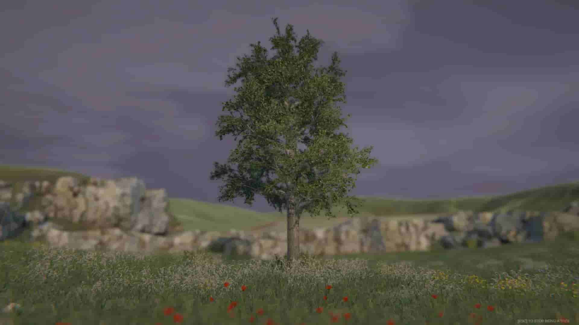 Tree Simulator 2020 screenshot thumbnail screenshot 3