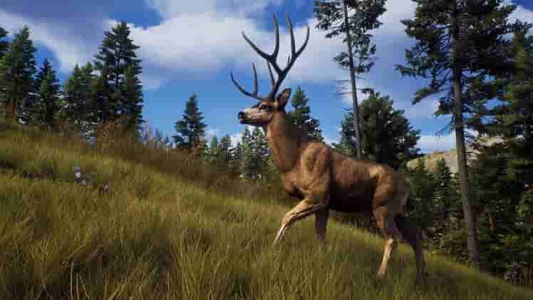 Way of the Hunter screenshot thumbnail screenshot 1