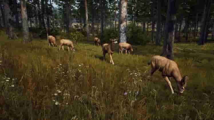 Way of the Hunter screenshot thumbnail screenshot 17