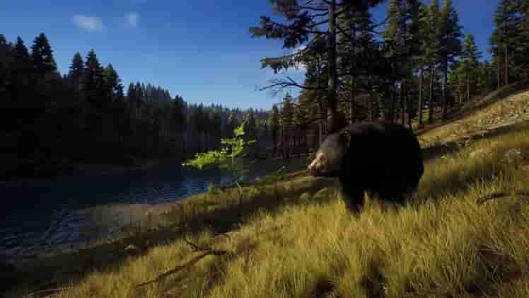 Way of the Hunter screenshot thumbnail screenshot 8