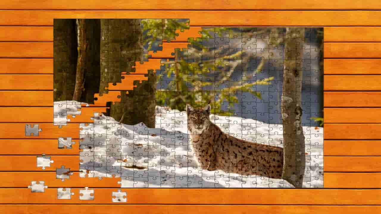 Wild Lynx Jigsaw screenshot thumbnail screenshot 1