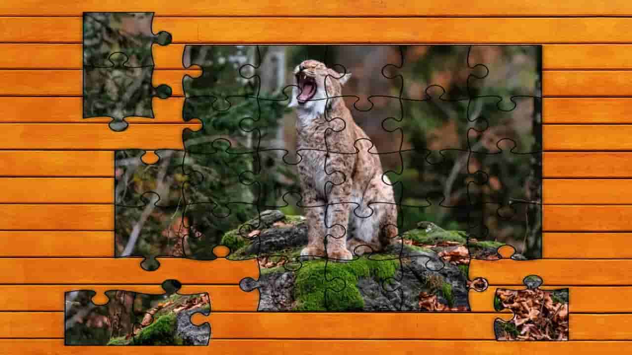 Wild Lynx Jigsaw screenshot thumbnail screenshot 3