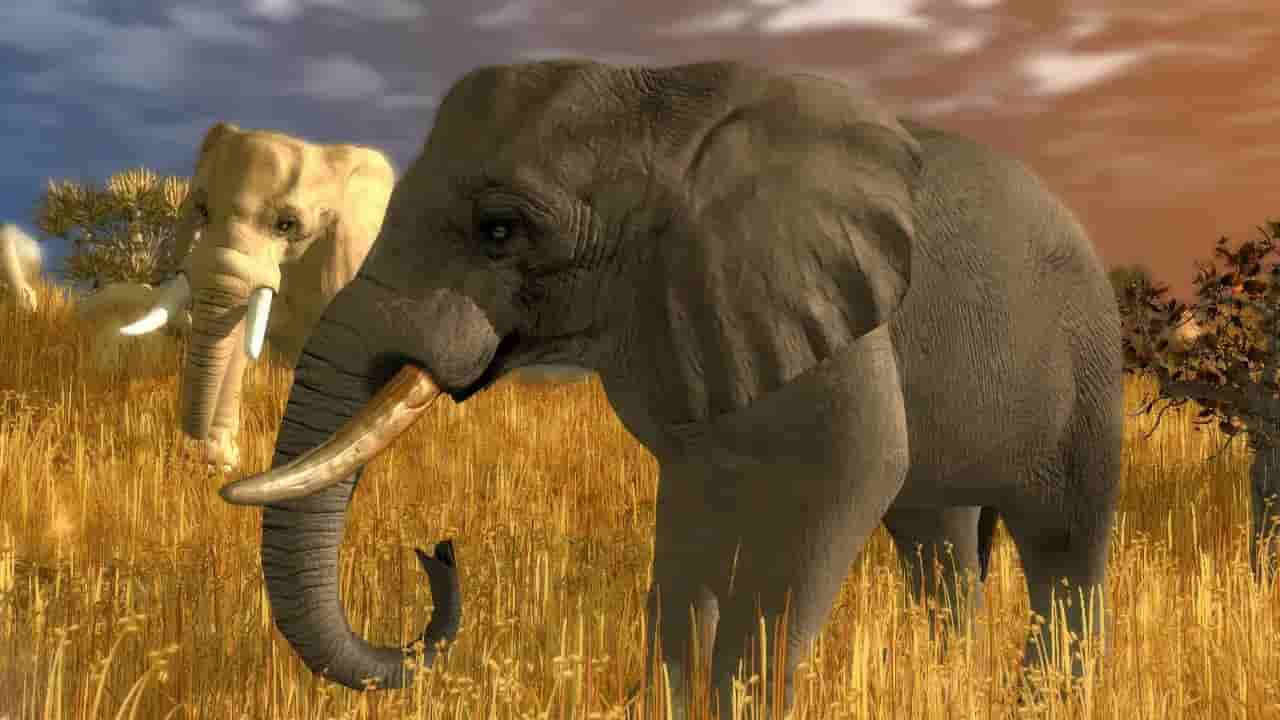 Wildlife Park 3 screenshot thumbnail screenshot 15