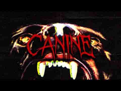CANINE screenshot thumbnail video