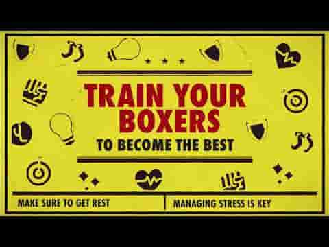 World Championship Boxing Manager 2 screenshot thumbnail video