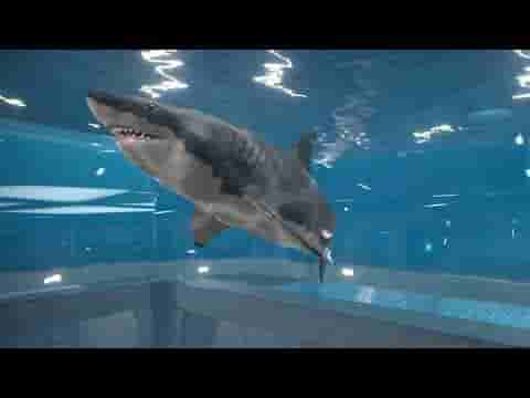 Aquarist screenshot thumbnail video
