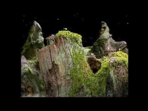 Samorost 1 screenshot thumbnail video