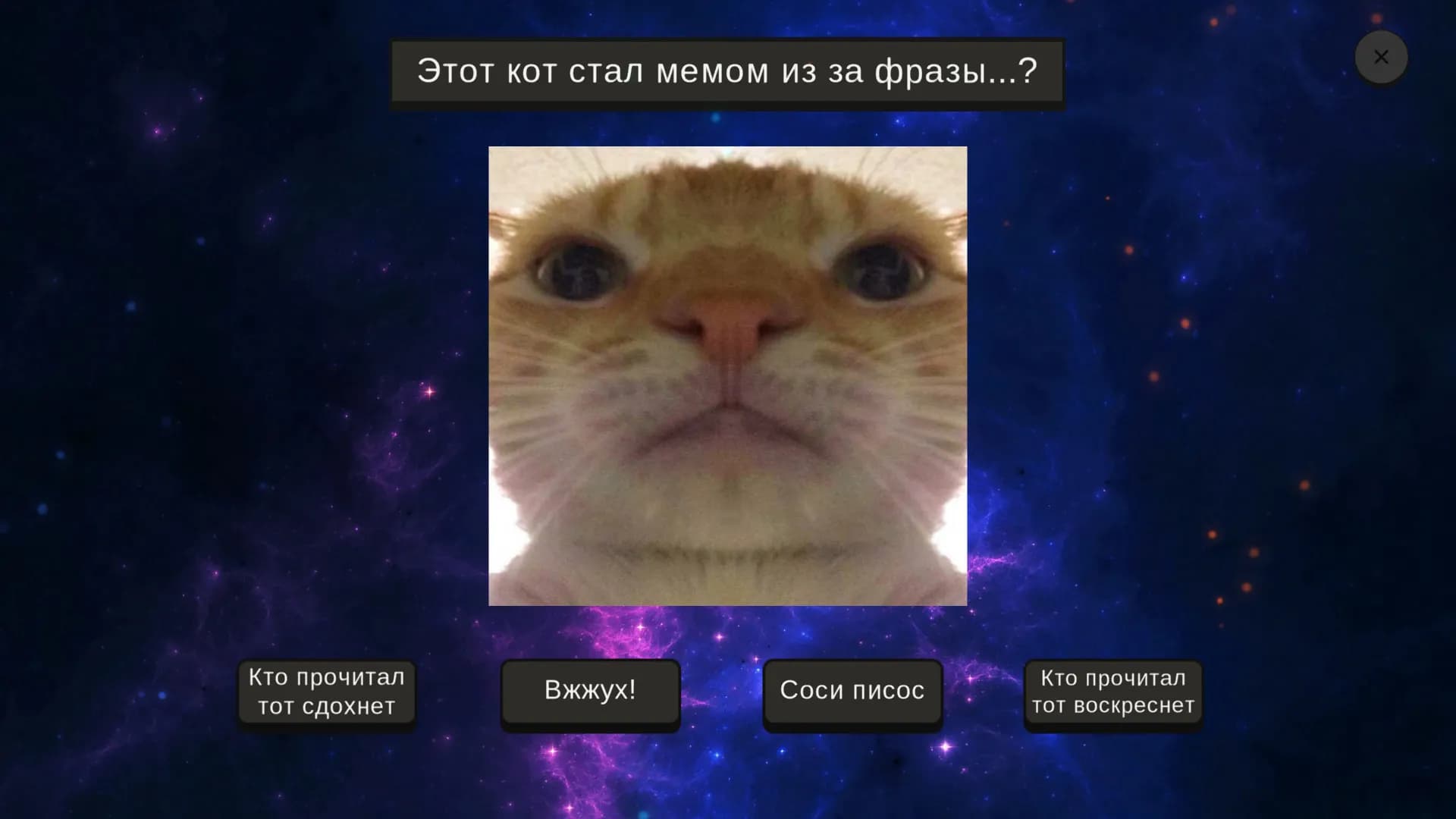 МЕМОЛОГИЯ screenshot screenshot 4