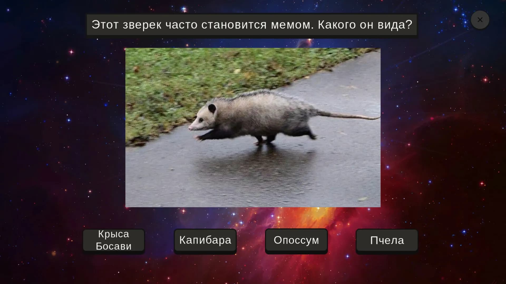 МЕМОЛОГИЯ screenshot screenshot 5