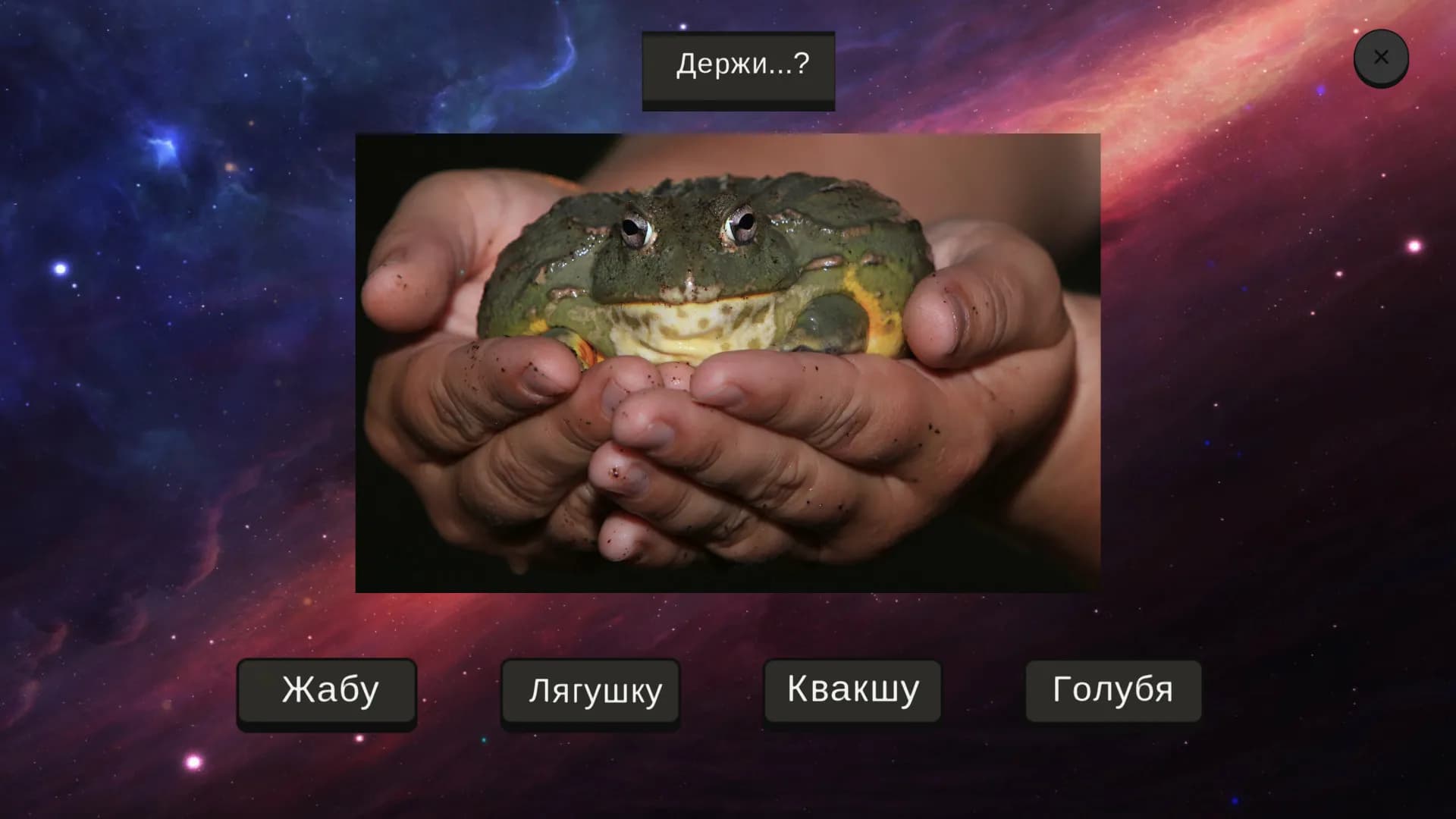 МЕМОЛОГИЯ screenshot screenshot 6