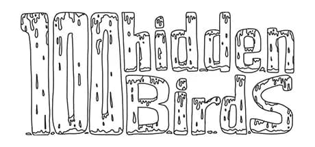 100 hidden birds thumbnail