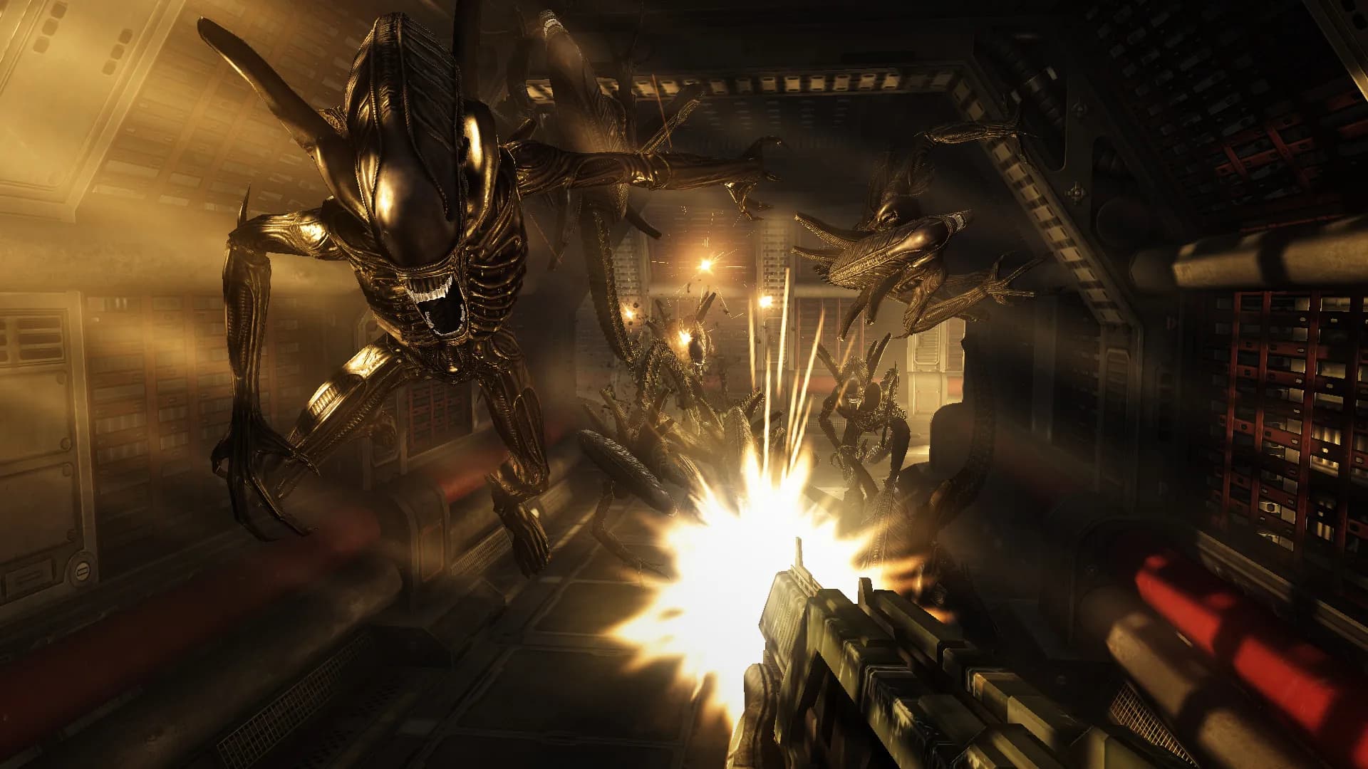 Aliens vs. Predator screenshot screenshot 2