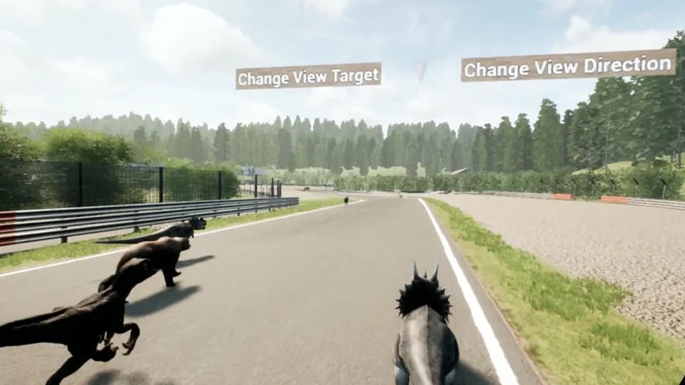 Animal Race Run VR screenshot screenshot 3