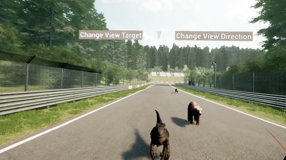 Animal Race Run VR screenshot screenshot 4