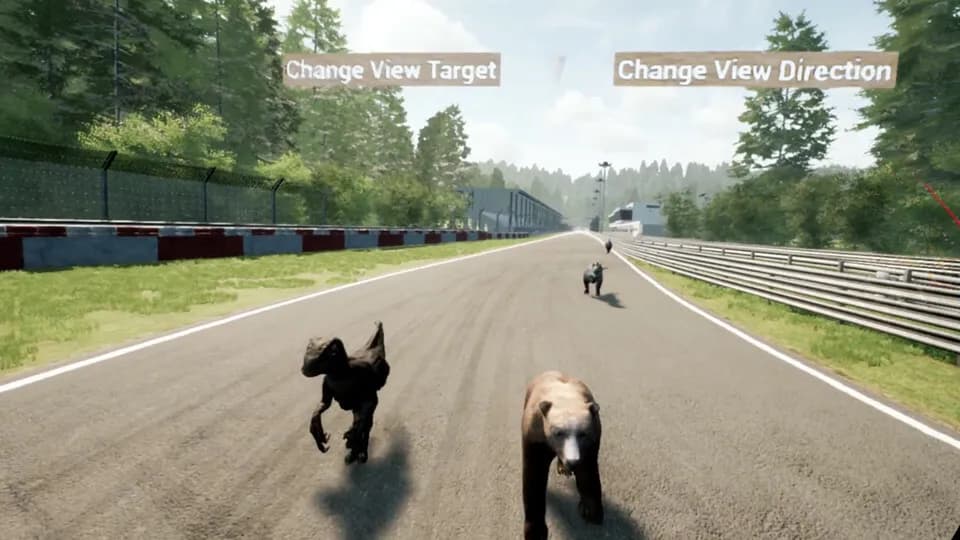 Animal Race Run VR screenshot screenshot 8