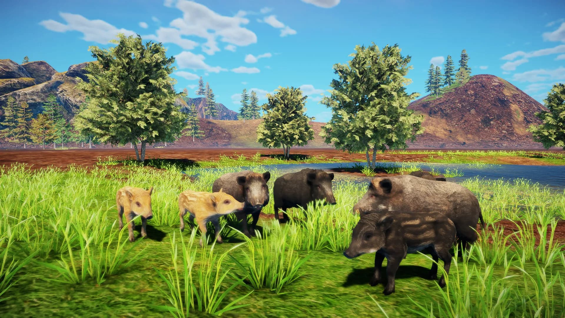 Animallica screenshot screenshot 12
