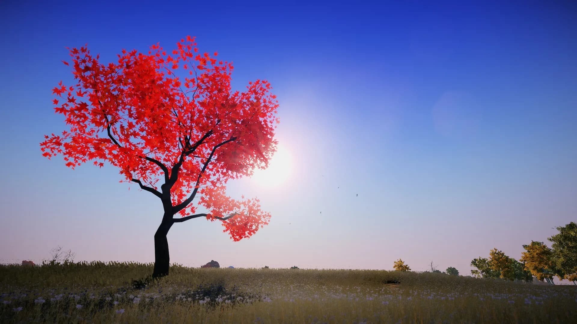 Animallica screenshot screenshot 16