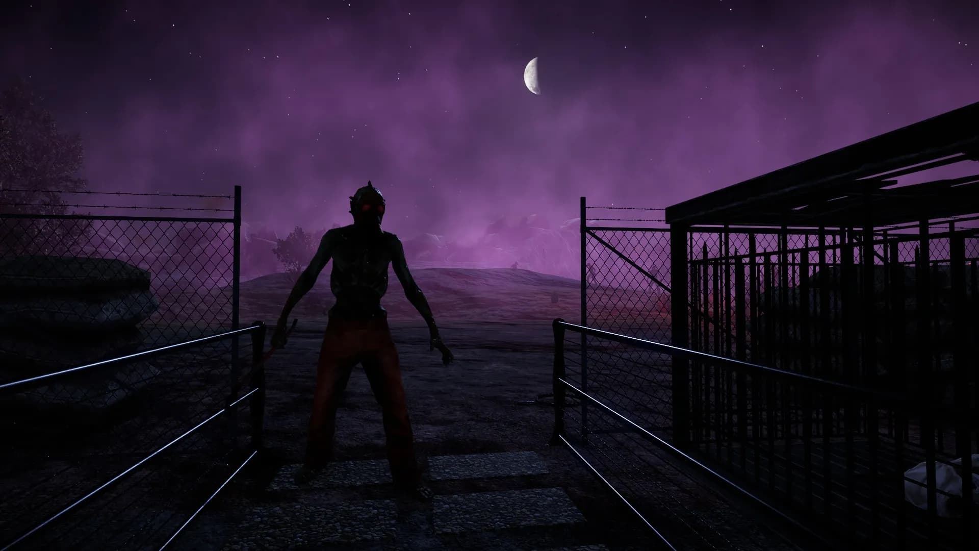 Animallica screenshot screenshot 19