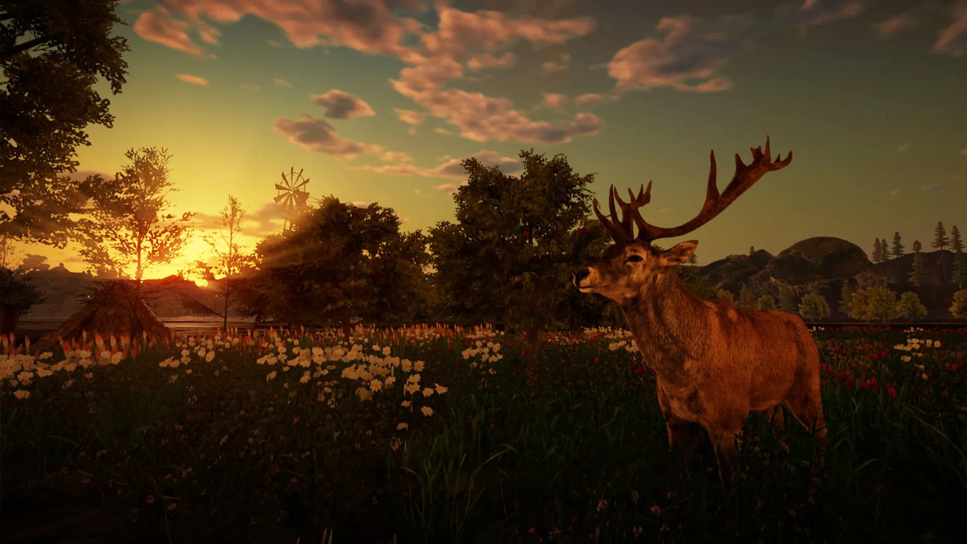 Animallica screenshot screenshot 31
