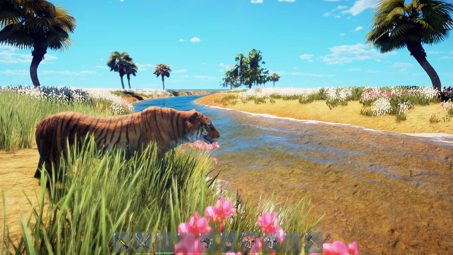 Animallica screenshot screenshot 37