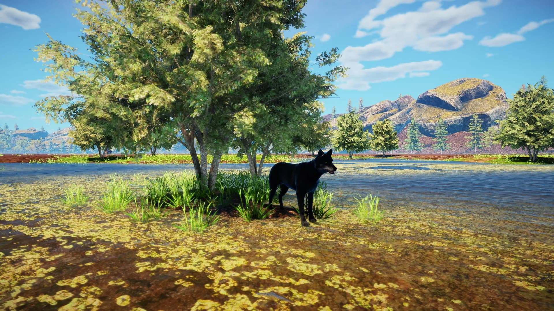 Animallica screenshot screenshot 49