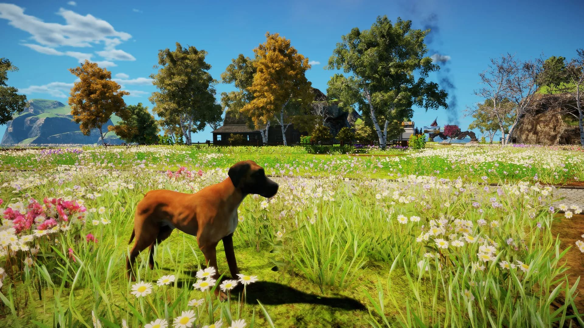 Animallica screenshot screenshot 53