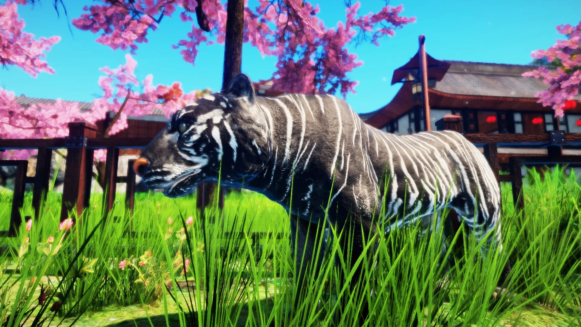 Animallica screenshot screenshot 6