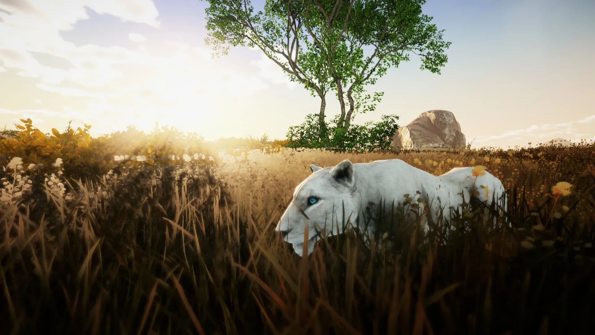 Animallica screenshot screenshot 7