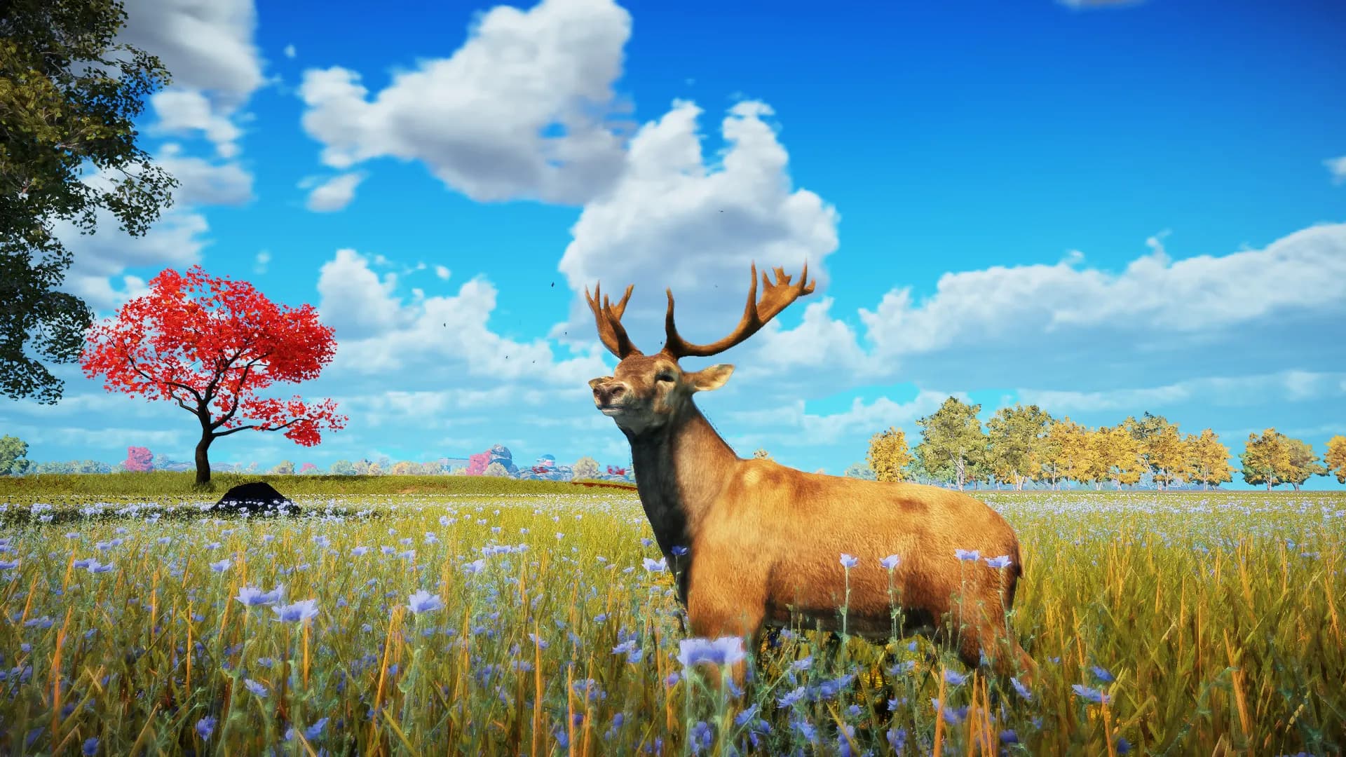 Animallica screenshot screenshot 9