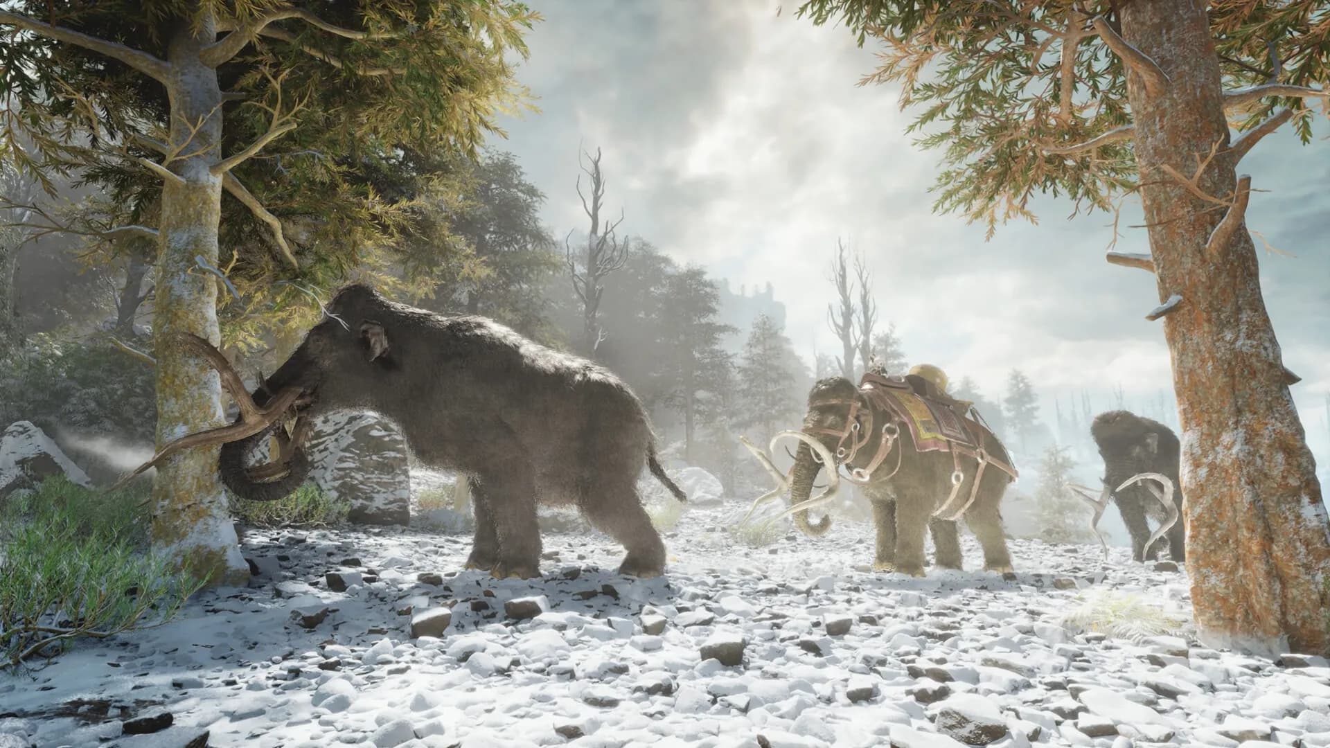 ARK: Survival Ascended screenshot screenshot 11