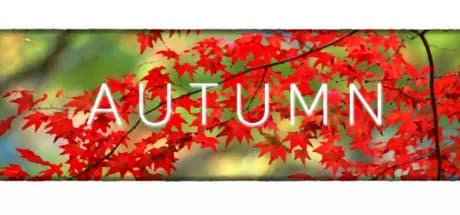 autumn vertical card thumbnail