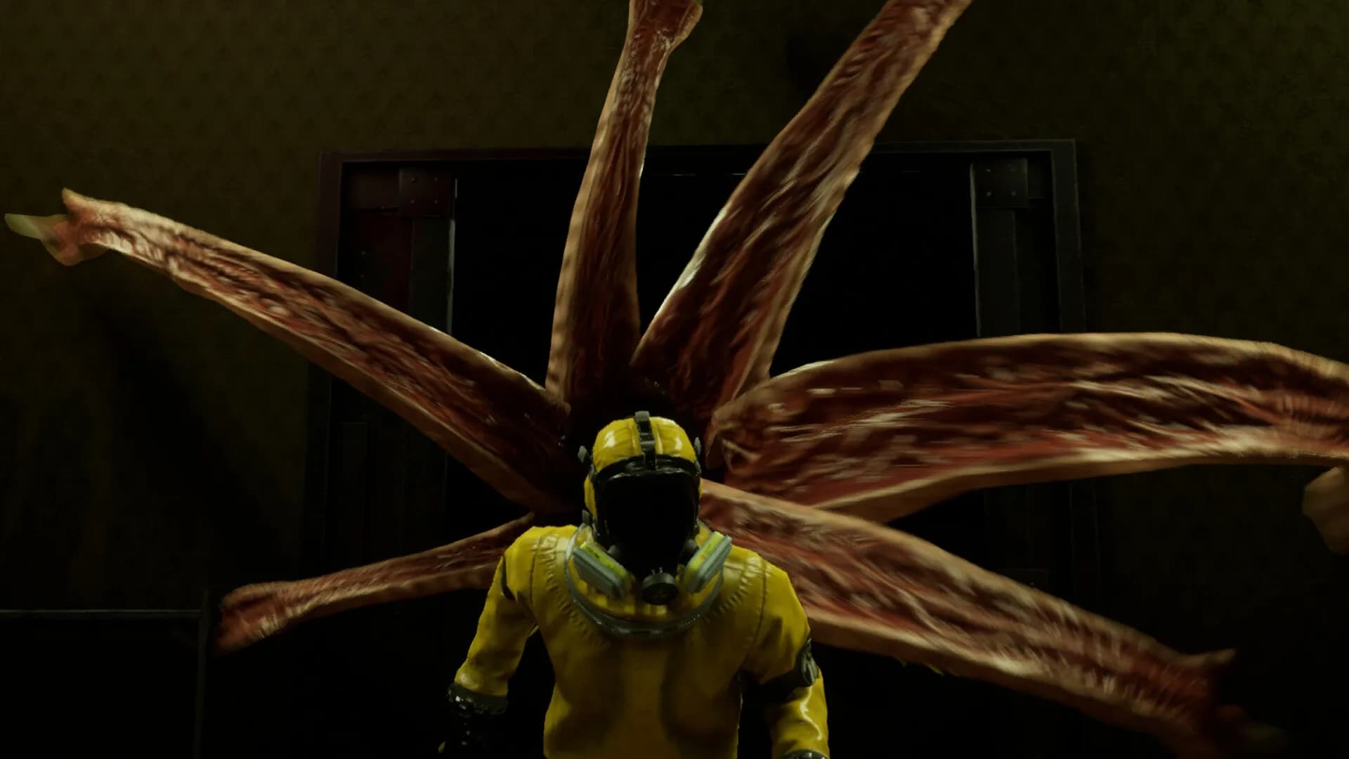 Backroom Company screenshot screenshot 1