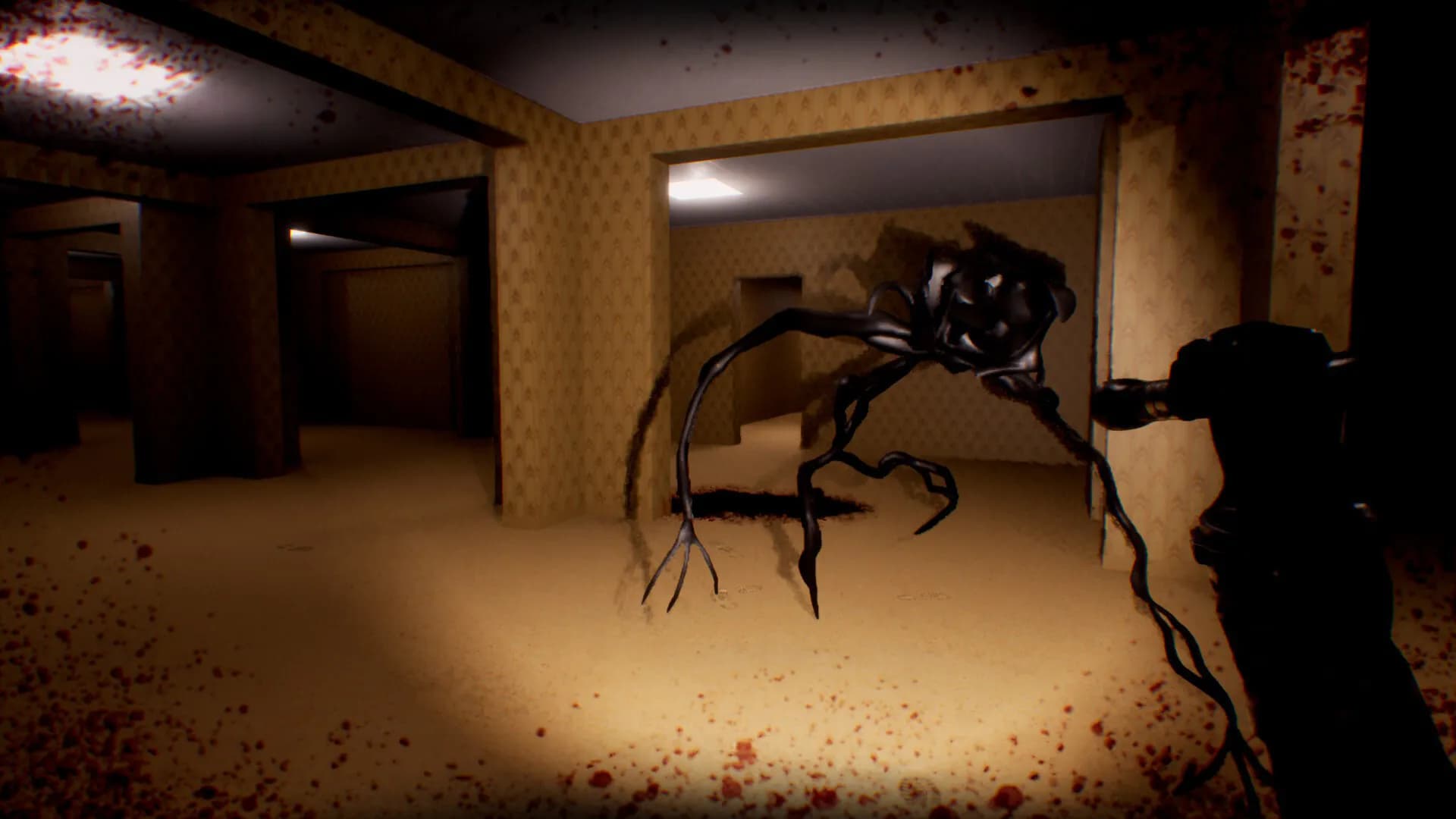 Backroom Company screenshot screenshot 5