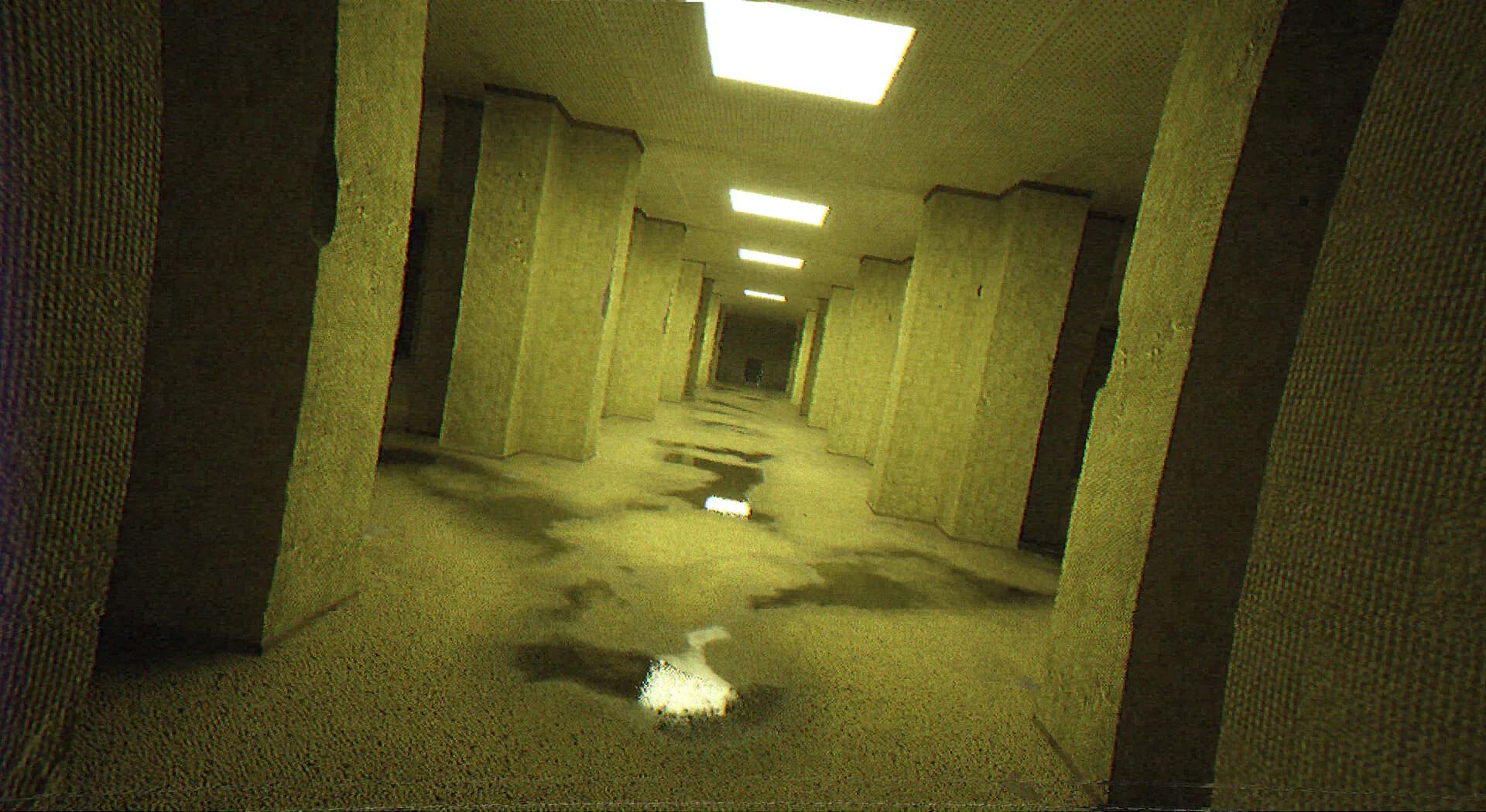 Backrooms Rec. screenshot screenshot 9