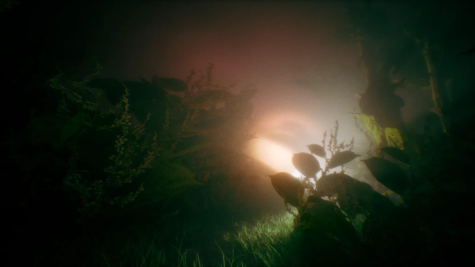 Benign Land screenshot screenshot 2