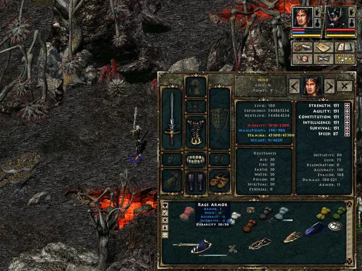 Beyond Divinity screenshot screenshot 1