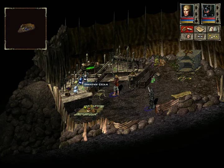 Beyond Divinity screenshot screenshot 3