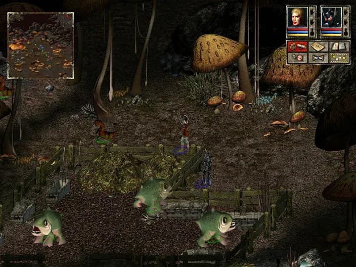 Beyond Divinity screenshot screenshot 5