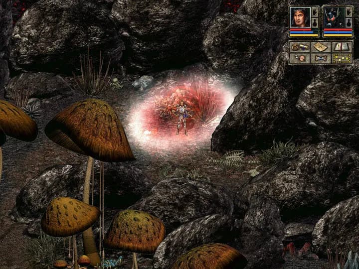 Beyond Divinity screenshot screenshot 6