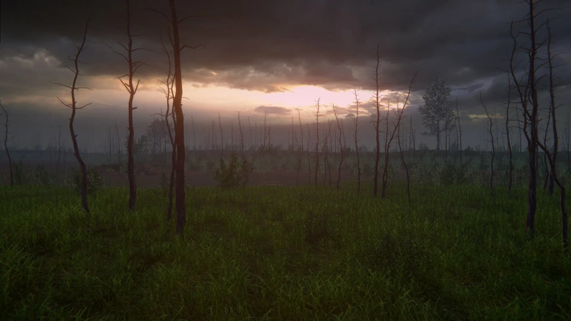 Birch Simulator screenshot screenshot 10