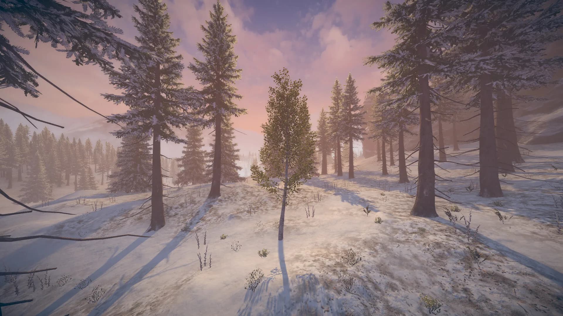 Birch Simulator screenshot screenshot 11