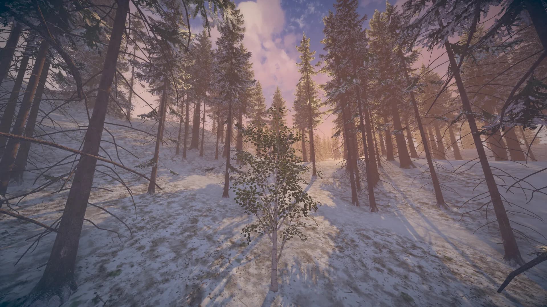 Birch Simulator screenshot screenshot 12