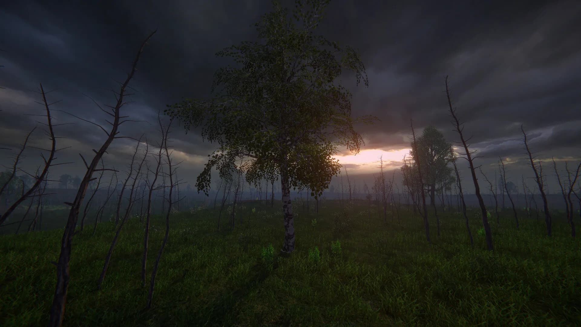Birch Simulator screenshot screenshot 16