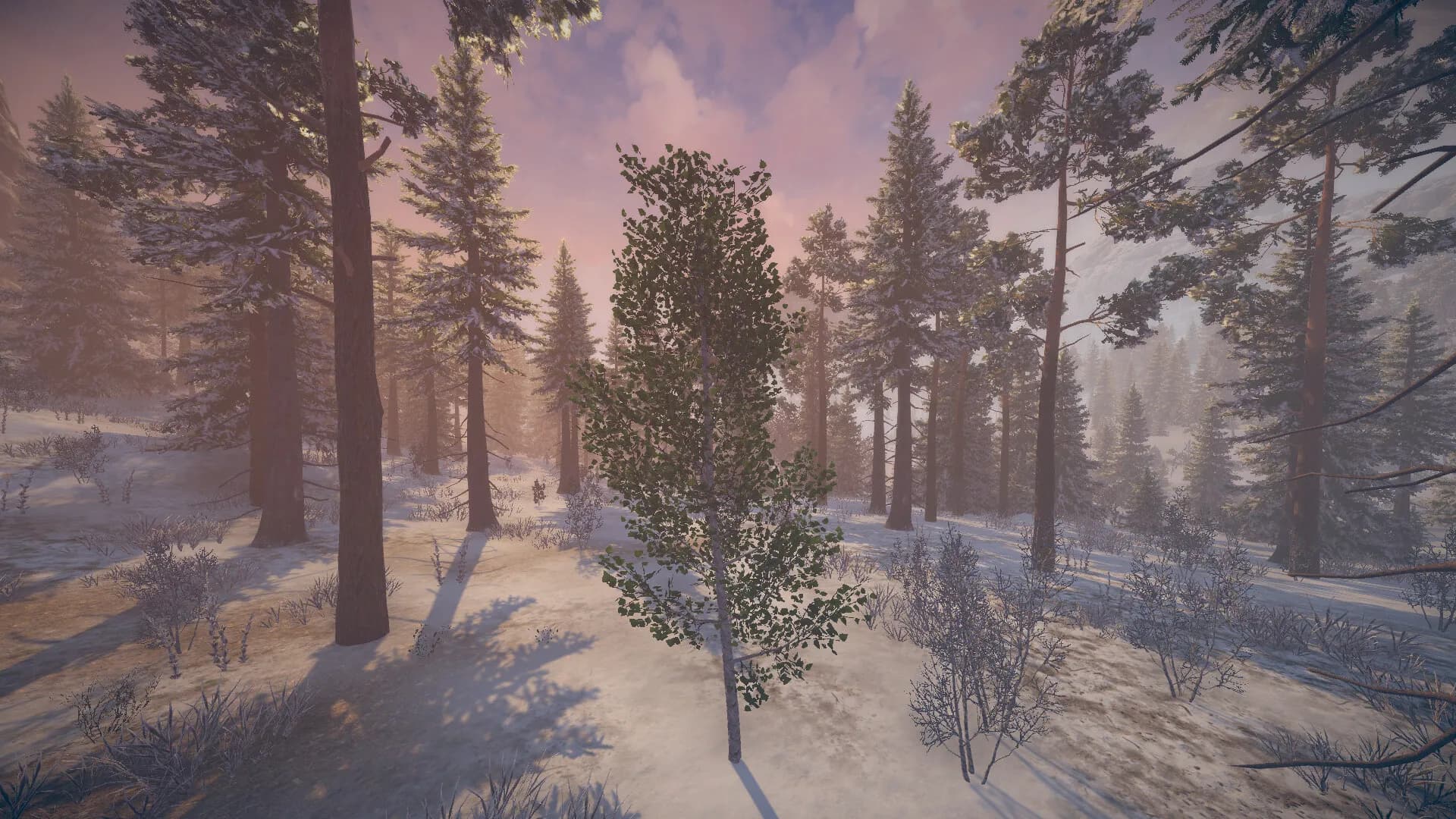 Birch Simulator screenshot screenshot 3